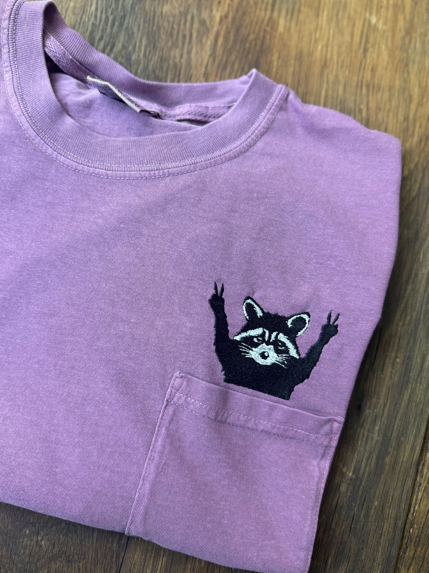 Raccoon peeking pocket