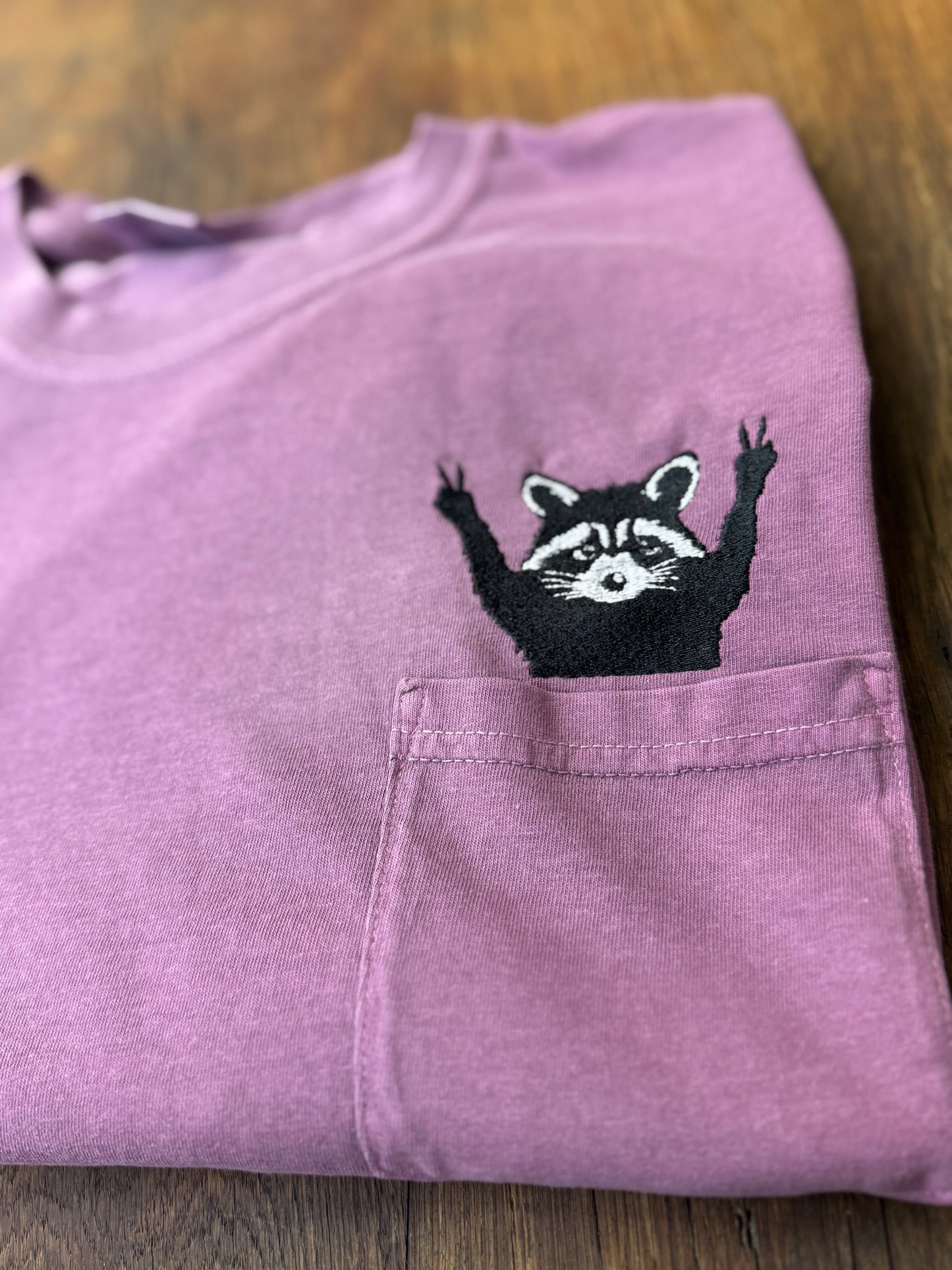 Raccoon peeking pocket